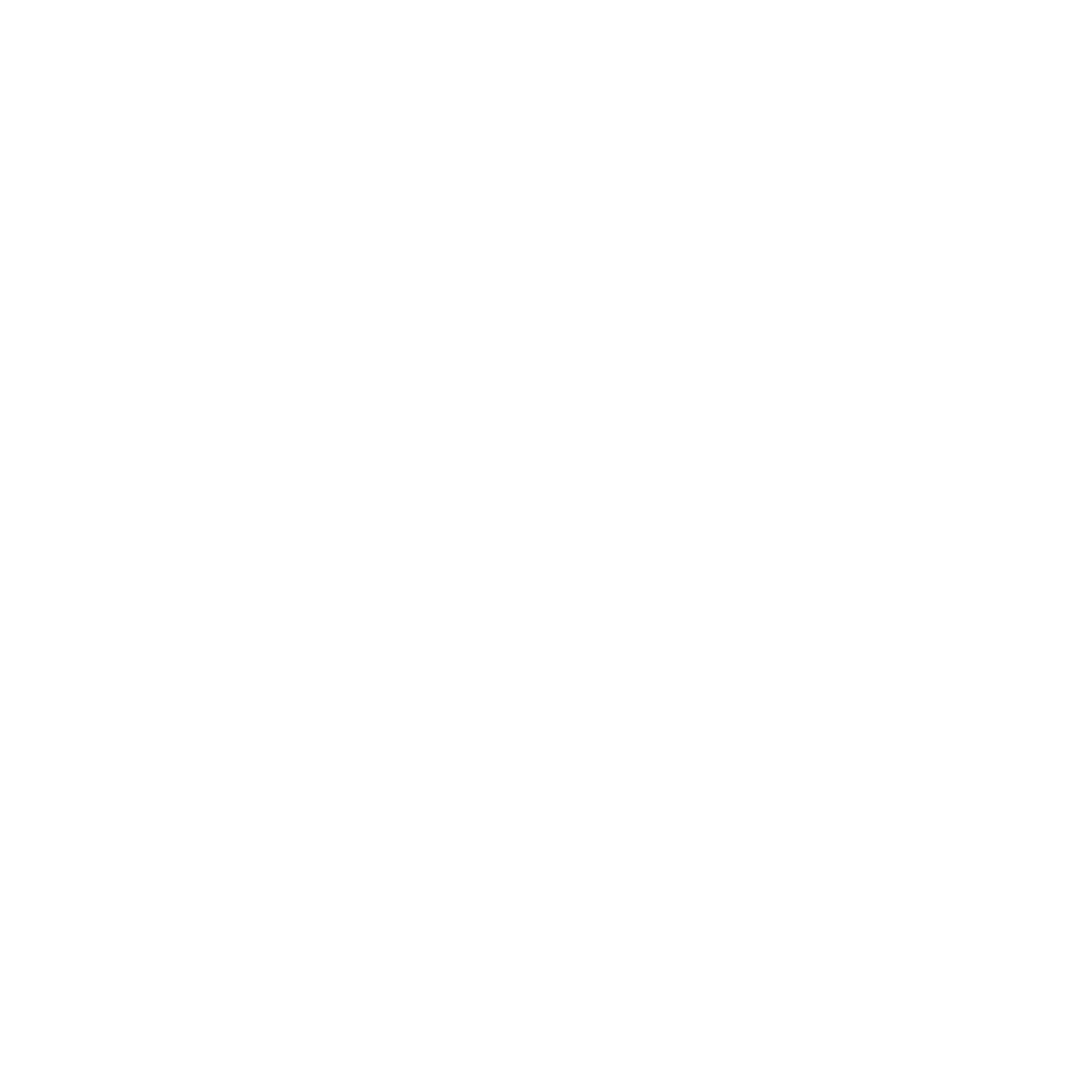 Dennis Rapp IT-Agency